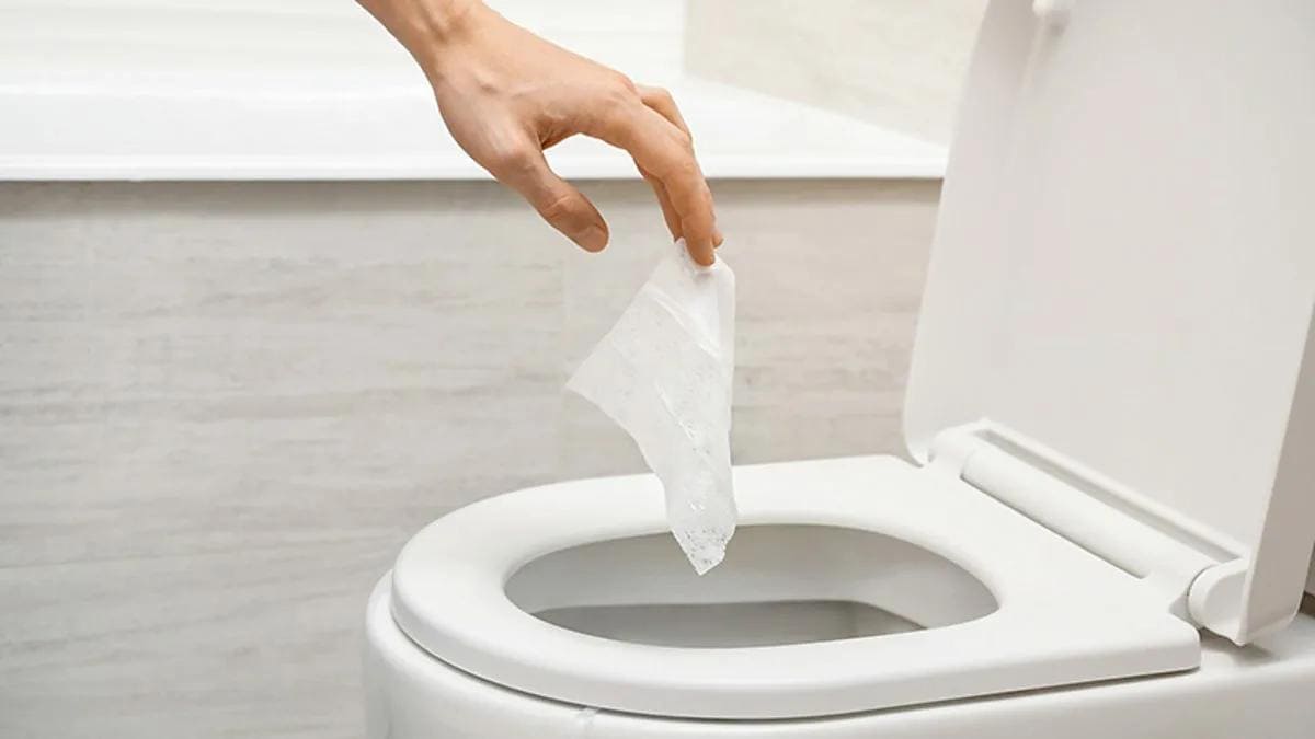 Can You Flush Wet Wipes? The Hidden Plumbing Risks